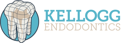 Link to Kellogg Endodontics, PA home page